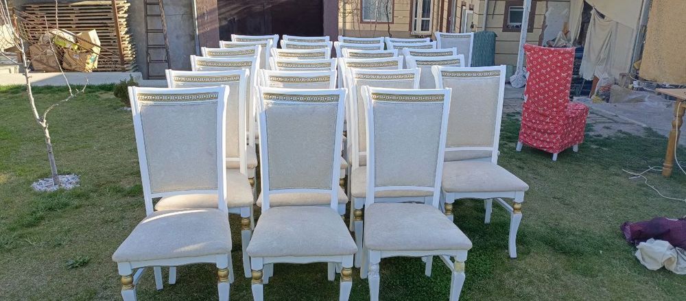 Аренда стол стул 24/7 Prokat Stol stul naves prokat stol stul