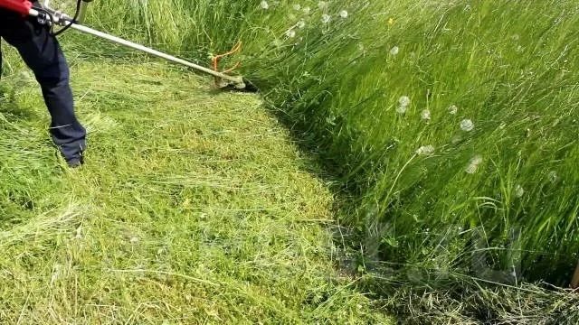 Покос травы Петропвловск
