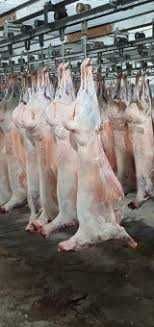 Qo'y so'yish Qassobchilik xizmati 24/7