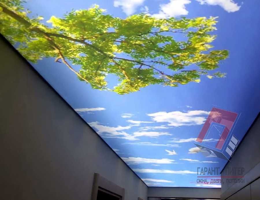 Natyajnoy Natejnoy natijnoy natyojni nadojniy натяжные потолки