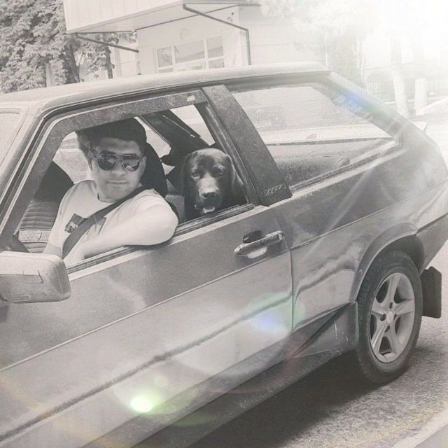 Дрессировка вашего  питомца. Инструктор Кинолог!