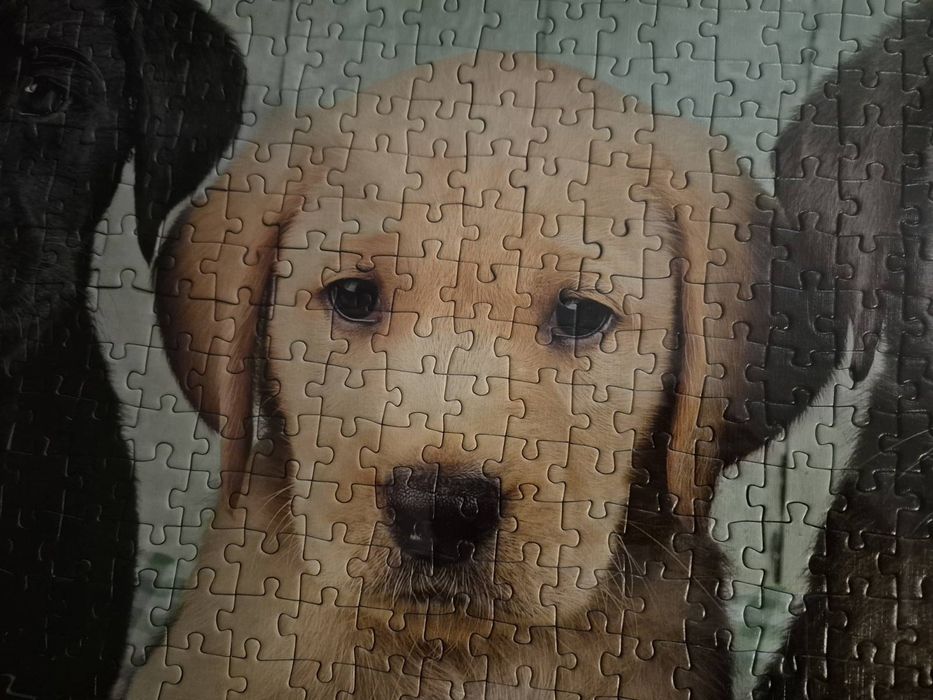 Картина пъзел 1000 части