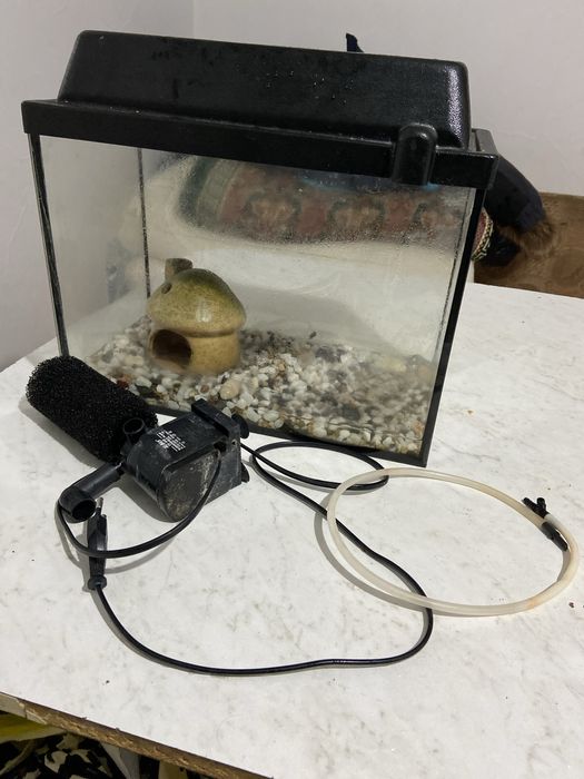 Продам аквариум срочно