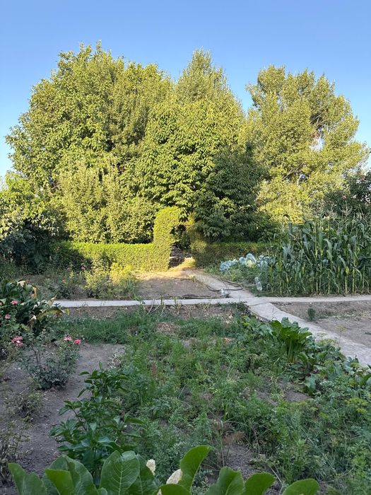 Продается дом в сельском округе