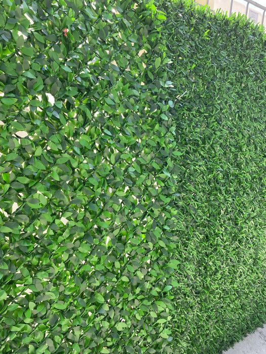 Evrozabor Suniy zabor