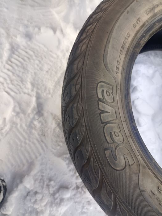 Зимние покрышки sava