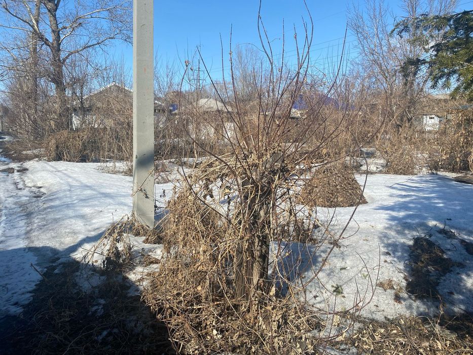 Продам участок 5соток