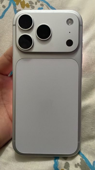 17 про 256 гб  100%