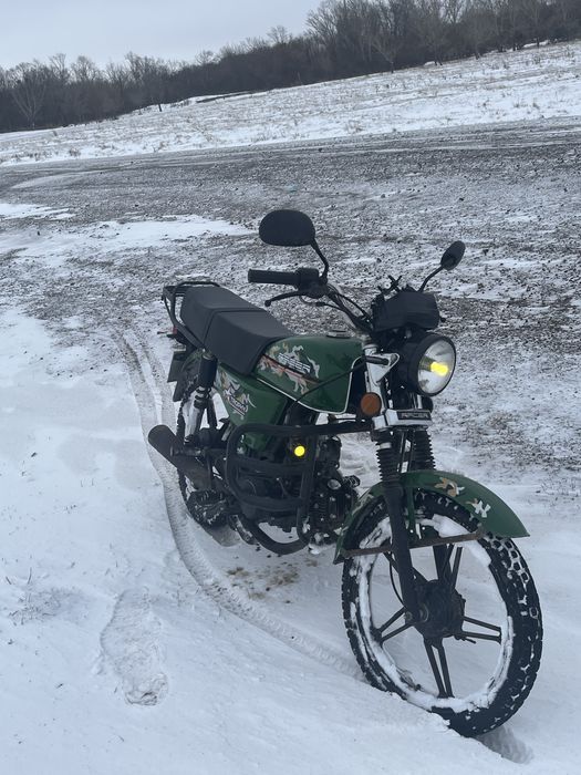 Racer 110 trophy Альфа