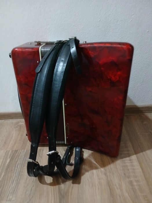 Acordeon parrot 60 basi