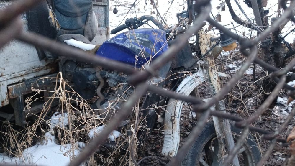 Мотороллер муравей трицикл