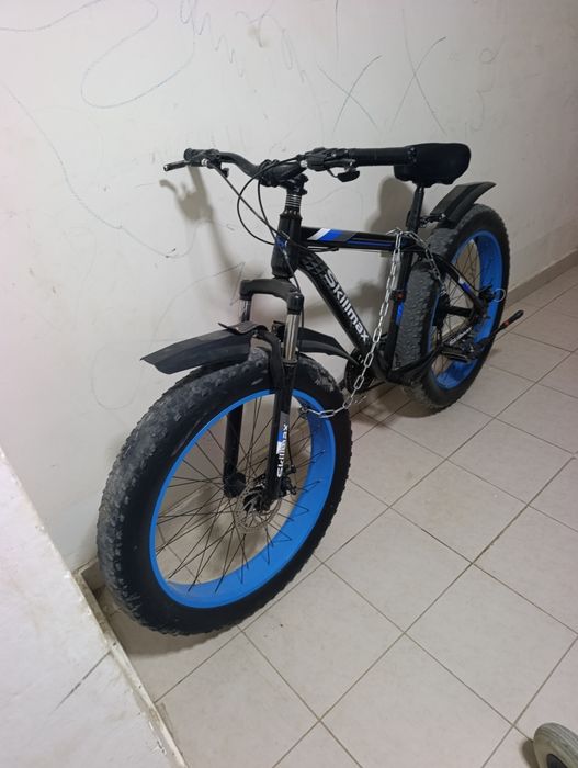 Velosped kattalarniki