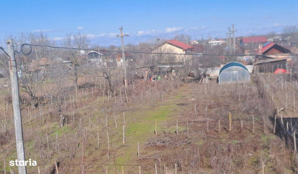Teren intravilan, Cosoveni, 1200 mp, front 24m