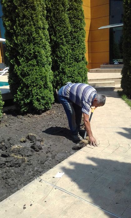 Irigati   gazon, pomi fructiferi, sere,solari  automatizare rain bird