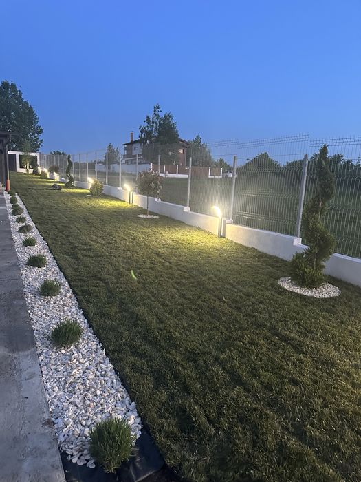 Leylandii chiparos / Tuia / plante de gradina