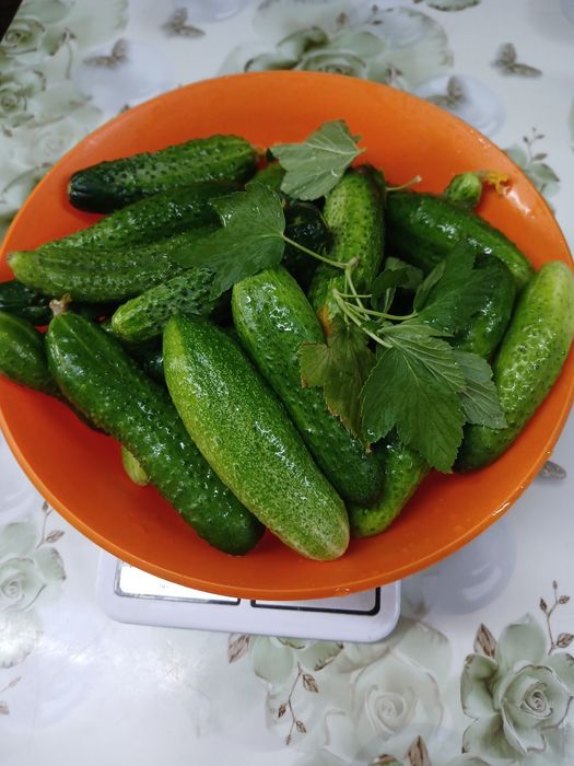 Огурцы домашние вкусные хрустящие