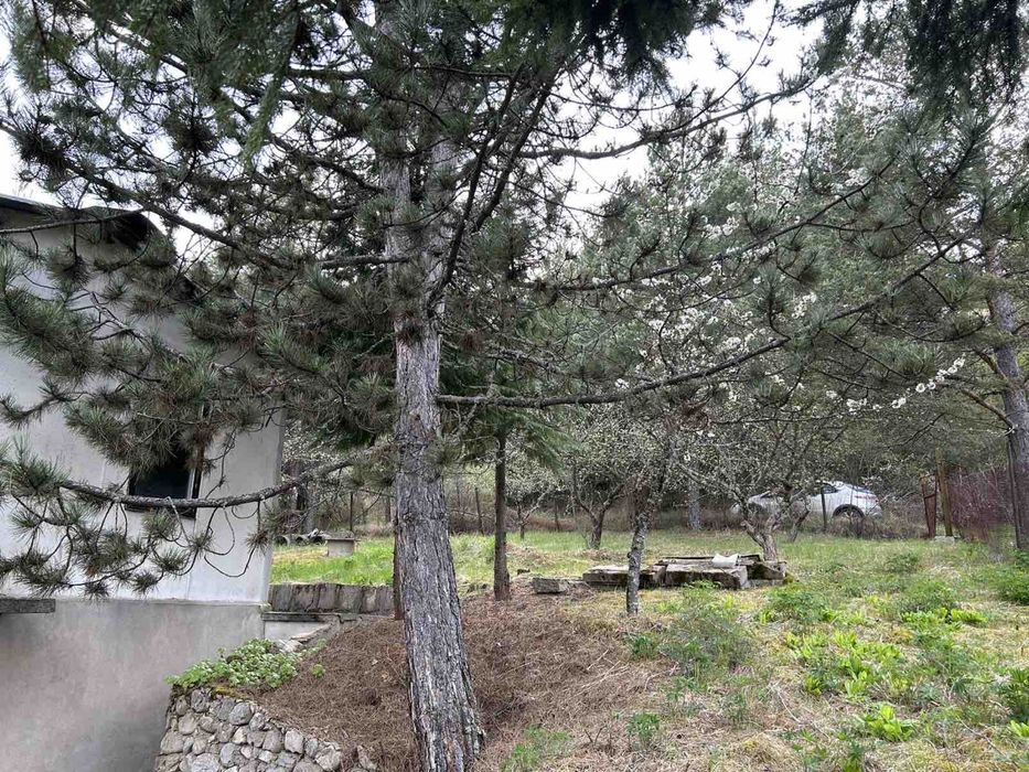 Вила Белчин - Фусково ханче