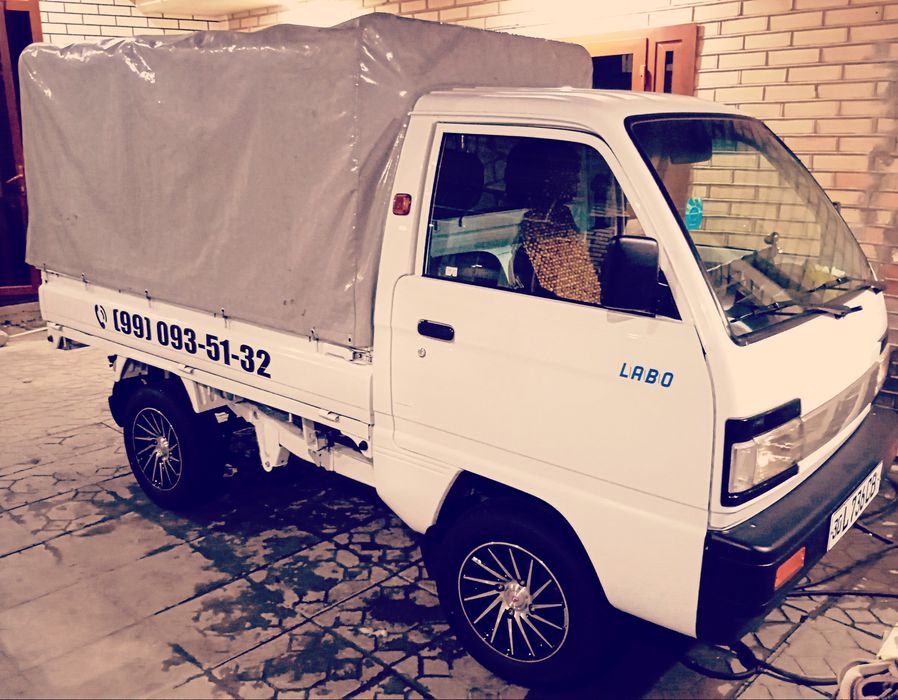 Ayol oz mushukini korsatadi