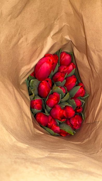 Тюльпаны Голанские с теплицы оптом