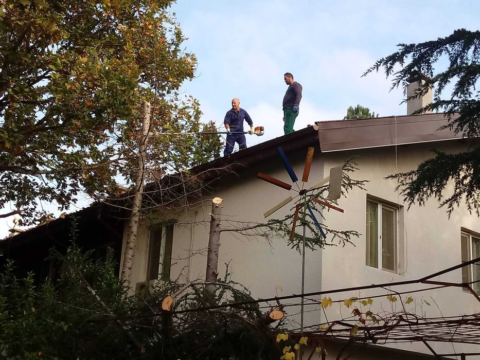 Почистване на дворове и обрасли терени в Бургаска област