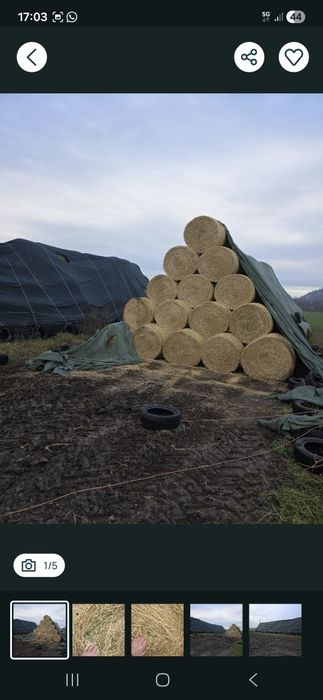 Baloti lucerna de vanzare