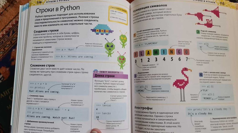 Вордерман Кэрол  Информатика и Программирование