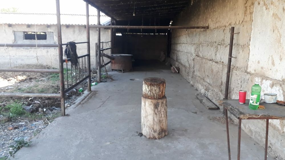 Продаётся ферма (қора )