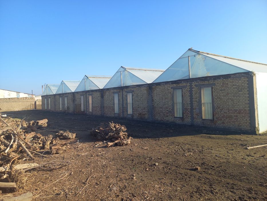 Tadbirkorlik bilan shugulanish uchun (chorvachili, issiqxona)