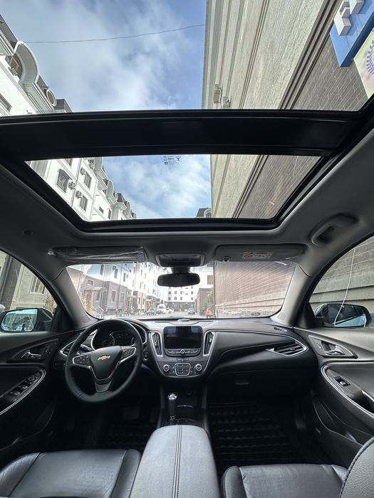 Malilu XL 2018  oq Jemchuk