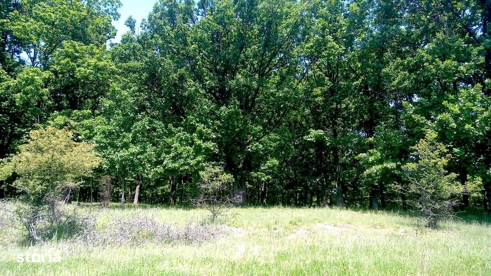 Teren 6350mp Trivale zona Colina verde, stradal