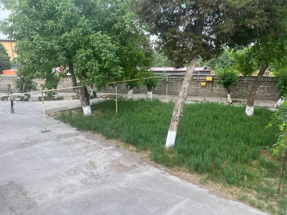 Коммерческая недвижимость  51 сотка — готовое решение для бизнеса