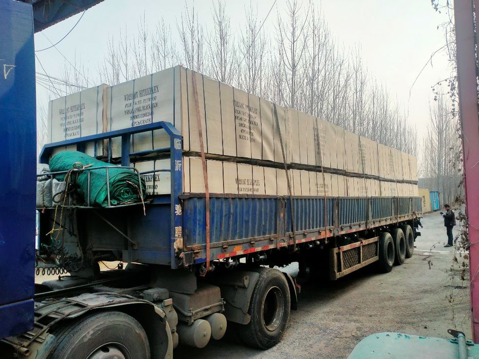 Tego placaj impermeabil 20mm 1220*2440mm