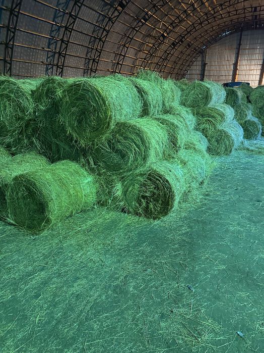 Сено в рулонах разнотравье