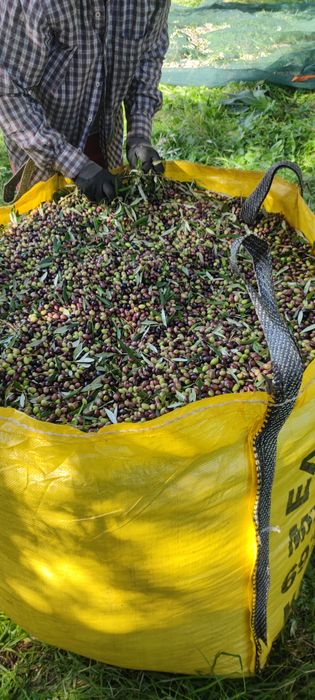 Ulei din Grecia Kalamata(kyparissia)