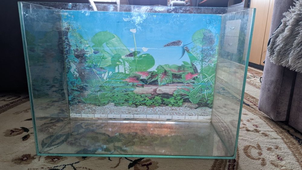 Продам аквариум с камушками