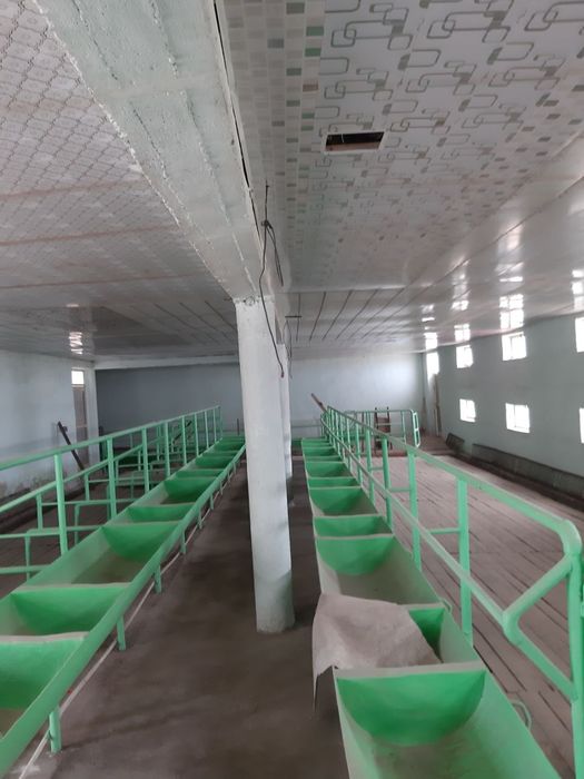 Uchastka yaxwi xolatda ferma uchun yaxwi imkoniyat