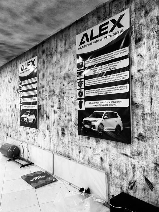 Prapan ornatish, 4 euro alex optima