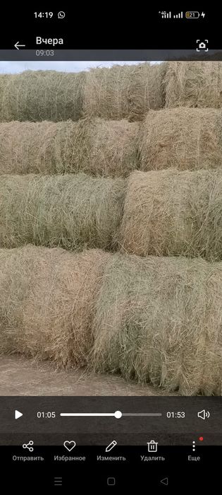 Сено рулон шөп сатылады