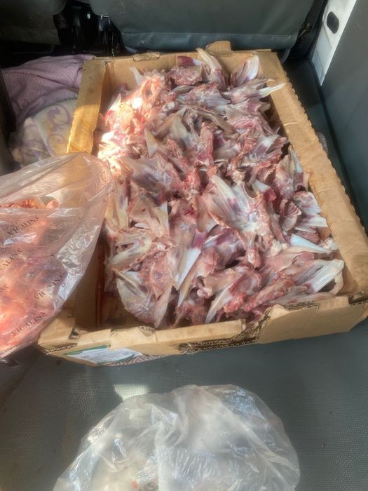 Супнабор для собак