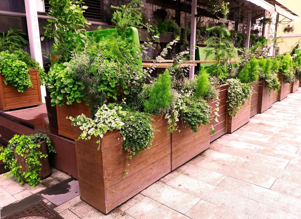 Озеленение кафе и ресторанов