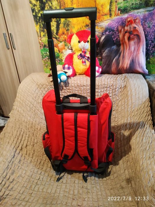 Сумка-переноска-рюкзак-чемодан