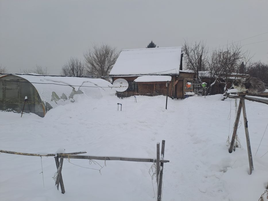 Продается дом на берегу иртыша.