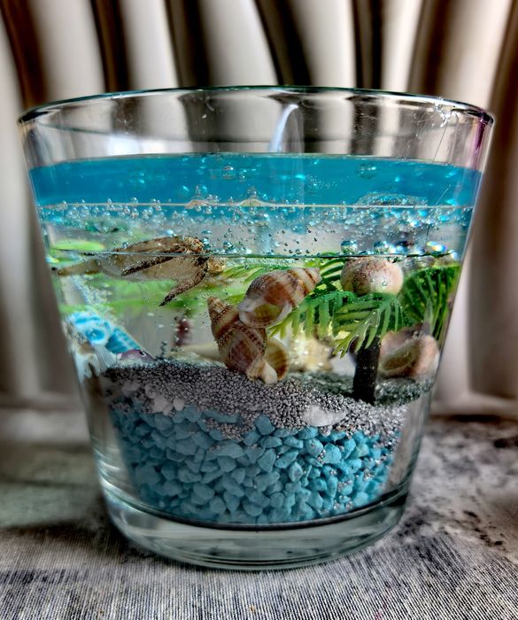 Морски Чаши  СВЕЩИ