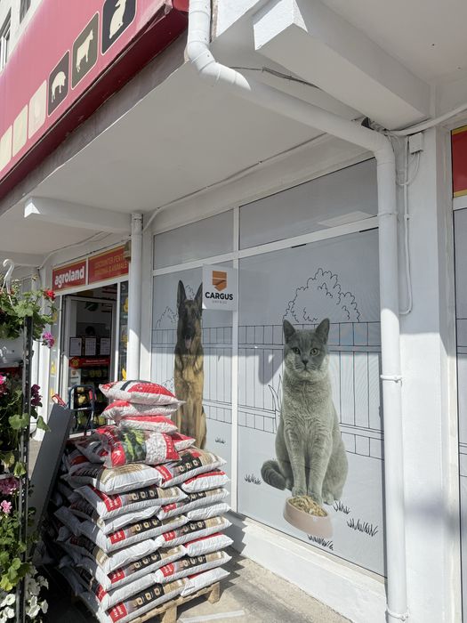 Inscriptionare auto vitrine geamuri materiale publicitare