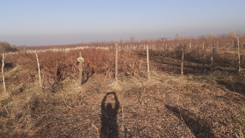 Продам участок поле