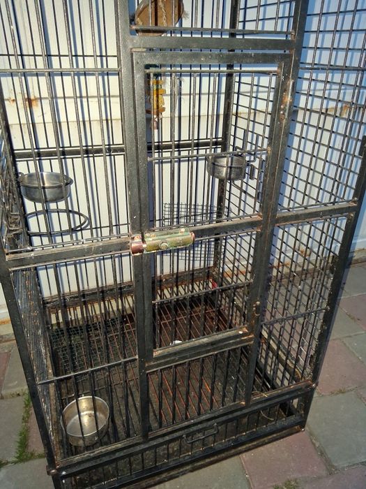 Voliera,colivie pentru pasari papagali