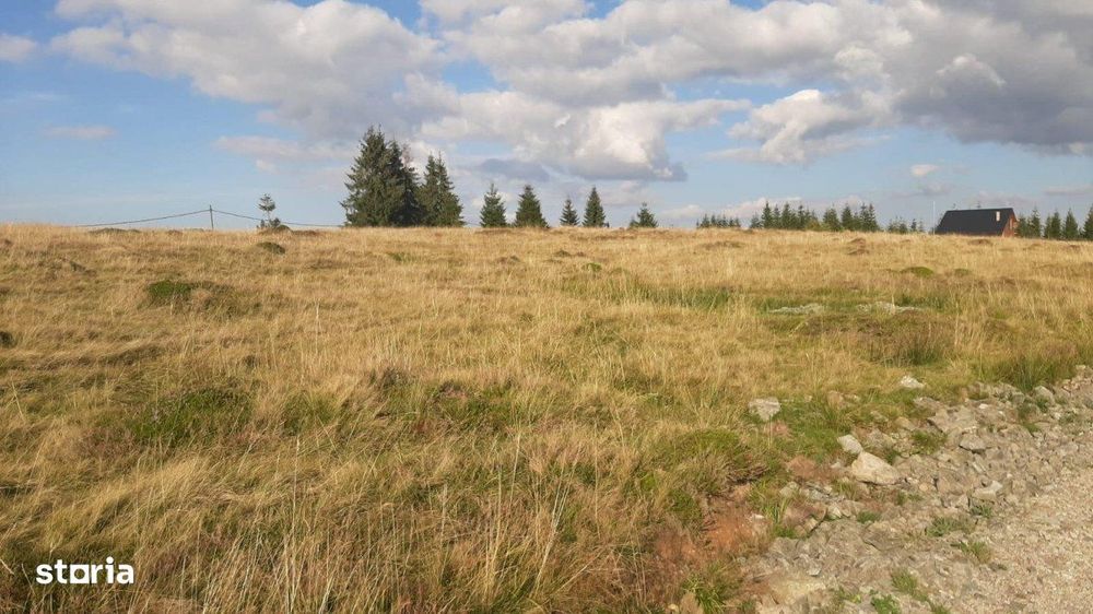 Teren, 1000 mp, intravilan, utilitati, zona Belis