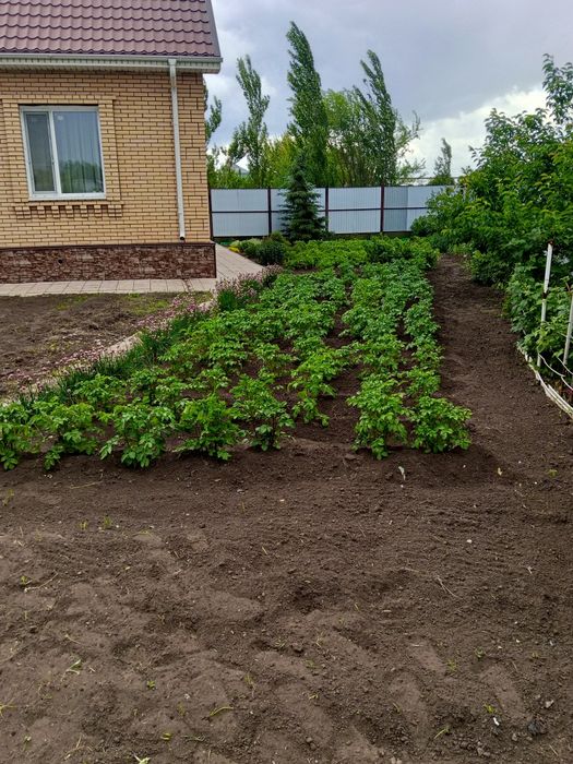 Прополка ,огорода,теплицы,и т д.