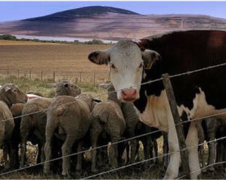 Электропастух Электро пастух Статик 3М