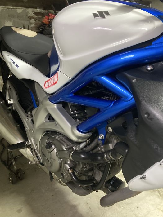 Suzuki  Sfv 650 Gladius